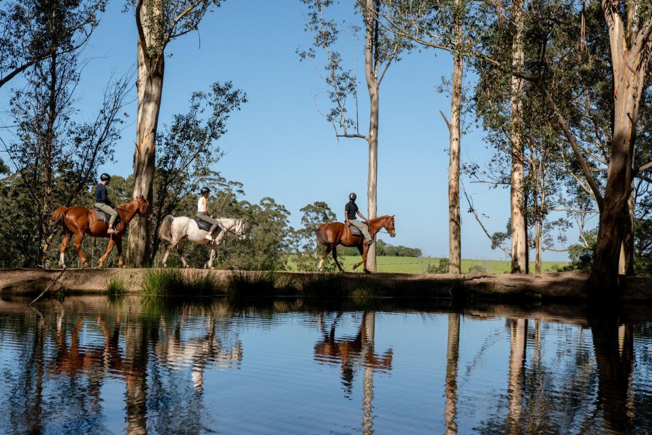 Africamps At Oakhurst Wilderness Buitenkant foto